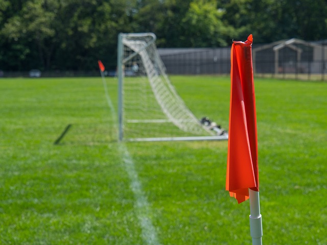 想到他曾带 想到他曾带